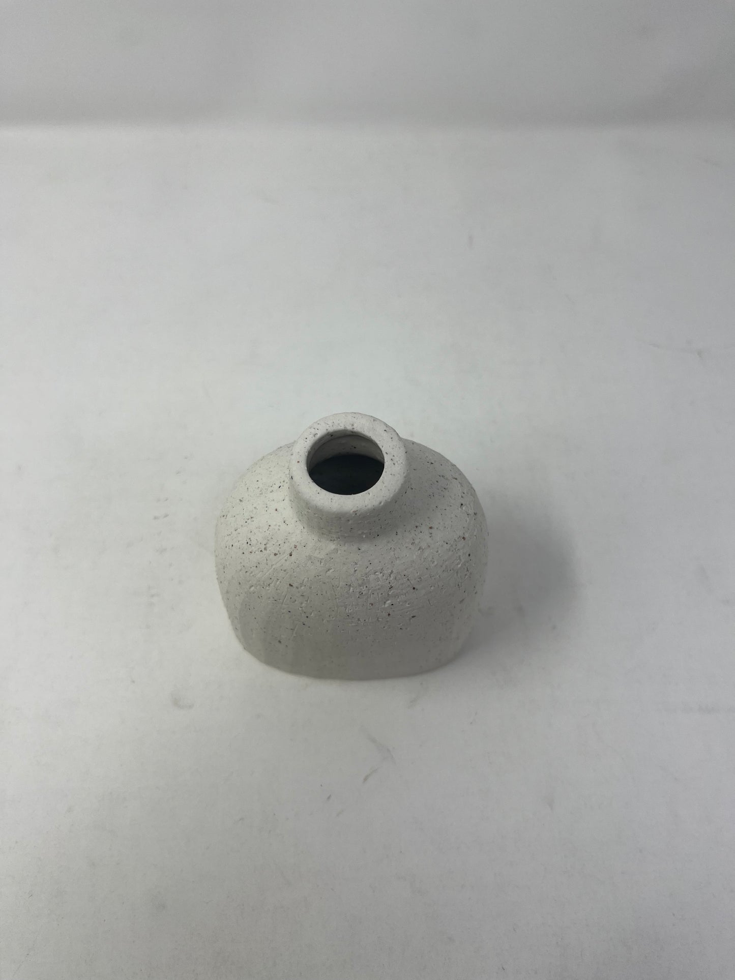 White Sands Sprout Vase (Small)