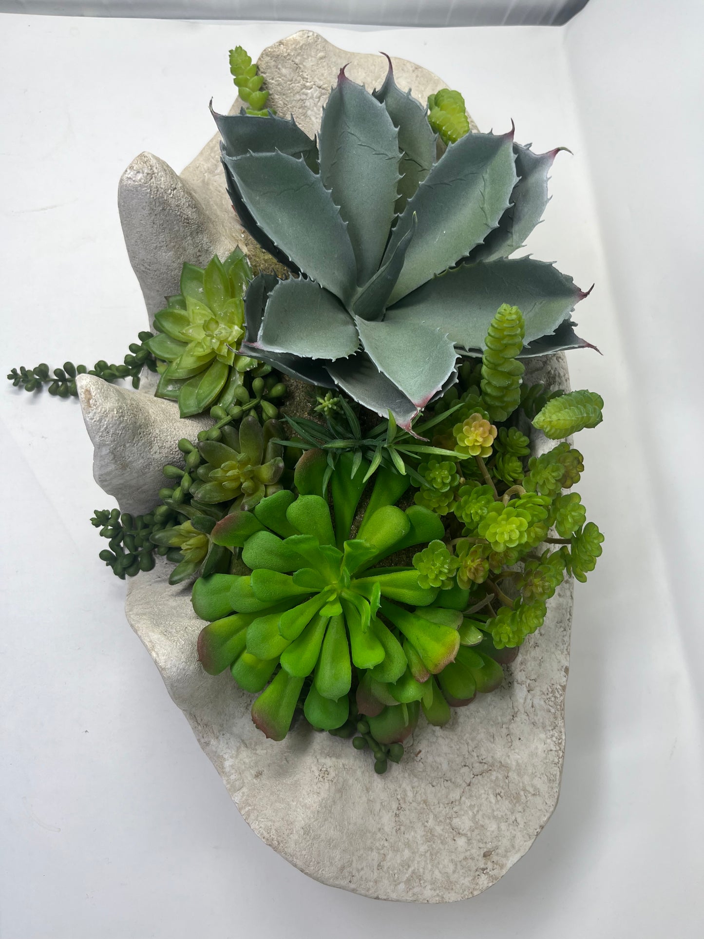 Seaside Succulent Garden