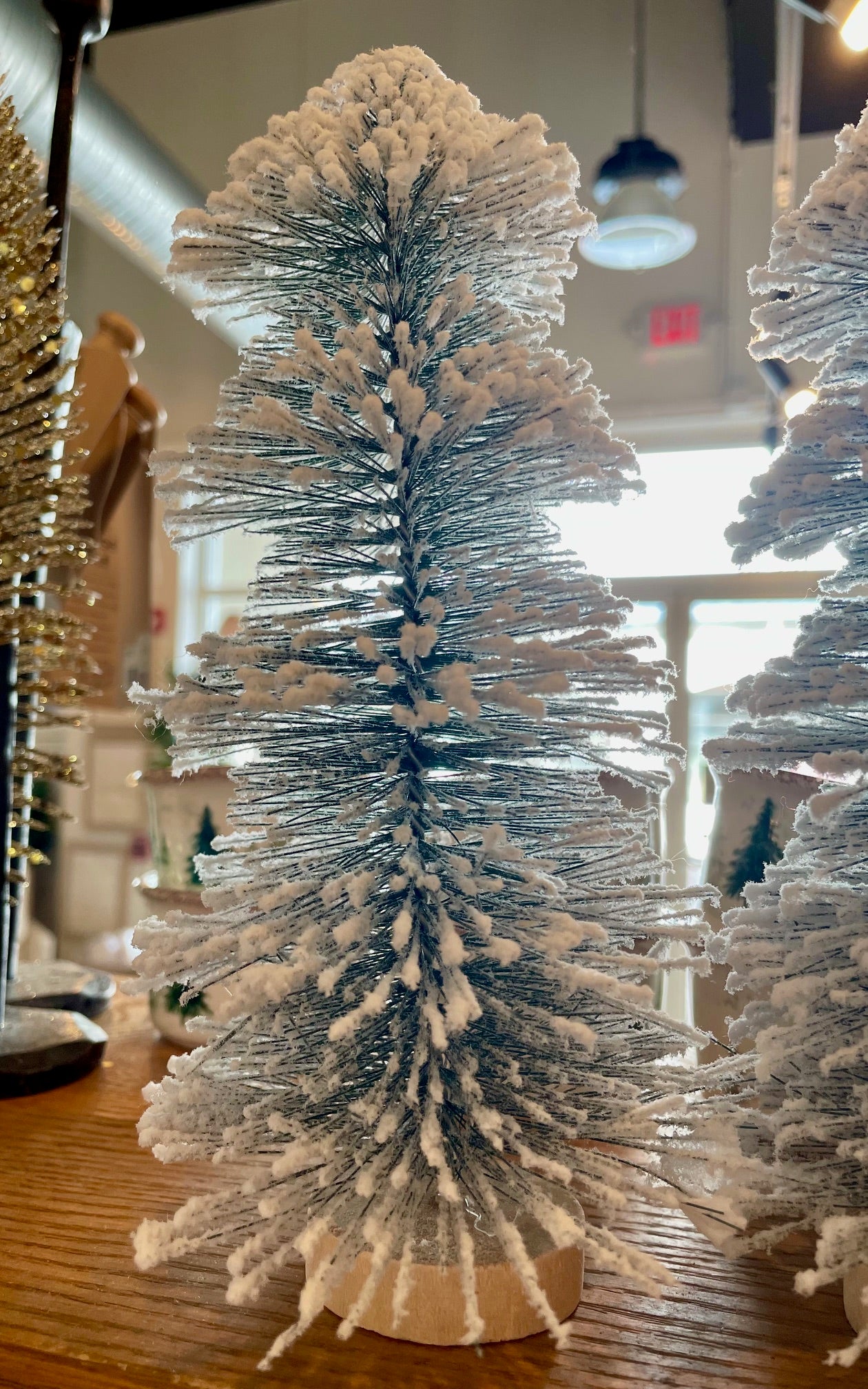 Snowed Display Tree