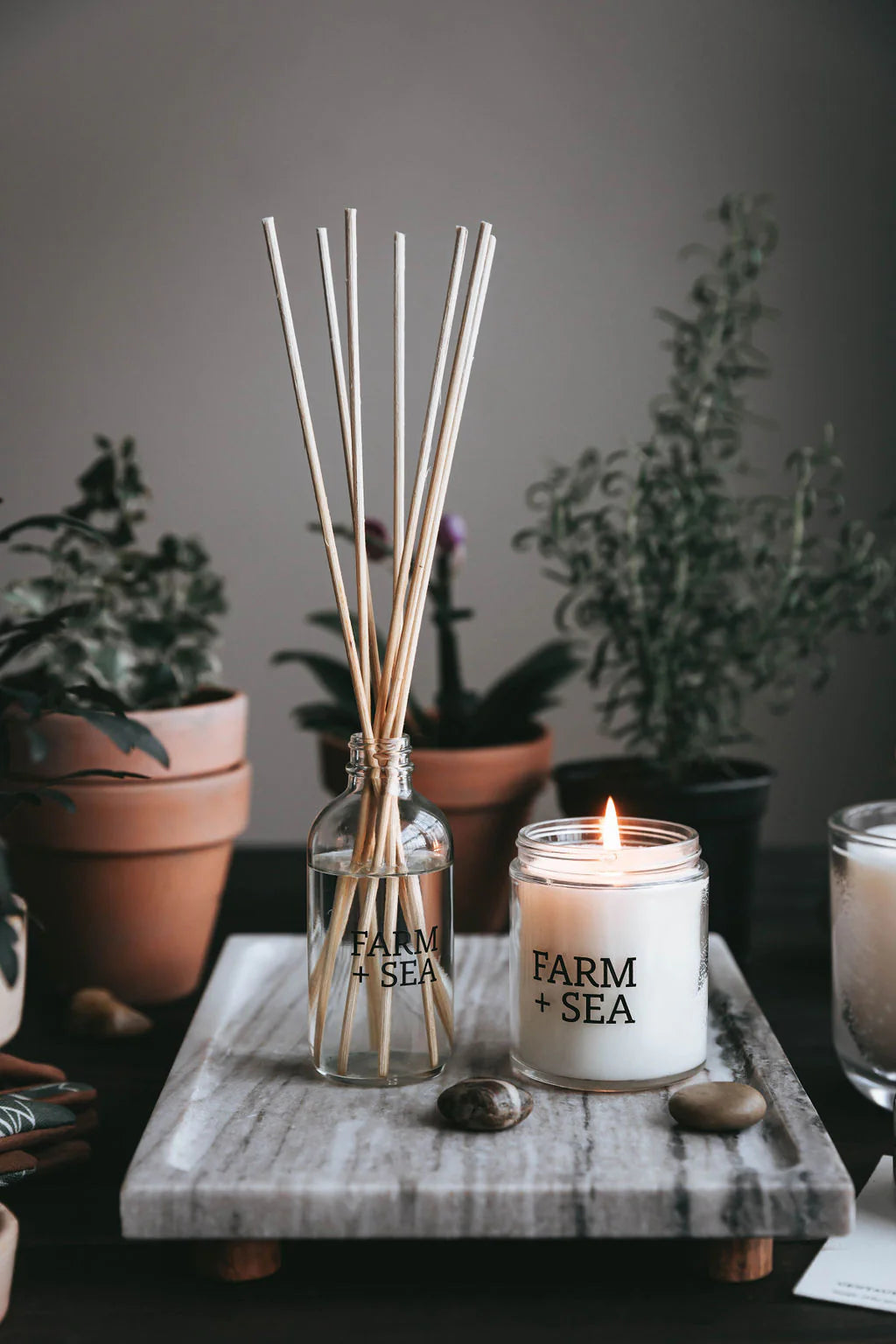 Farm + Sea Reed Diffuser