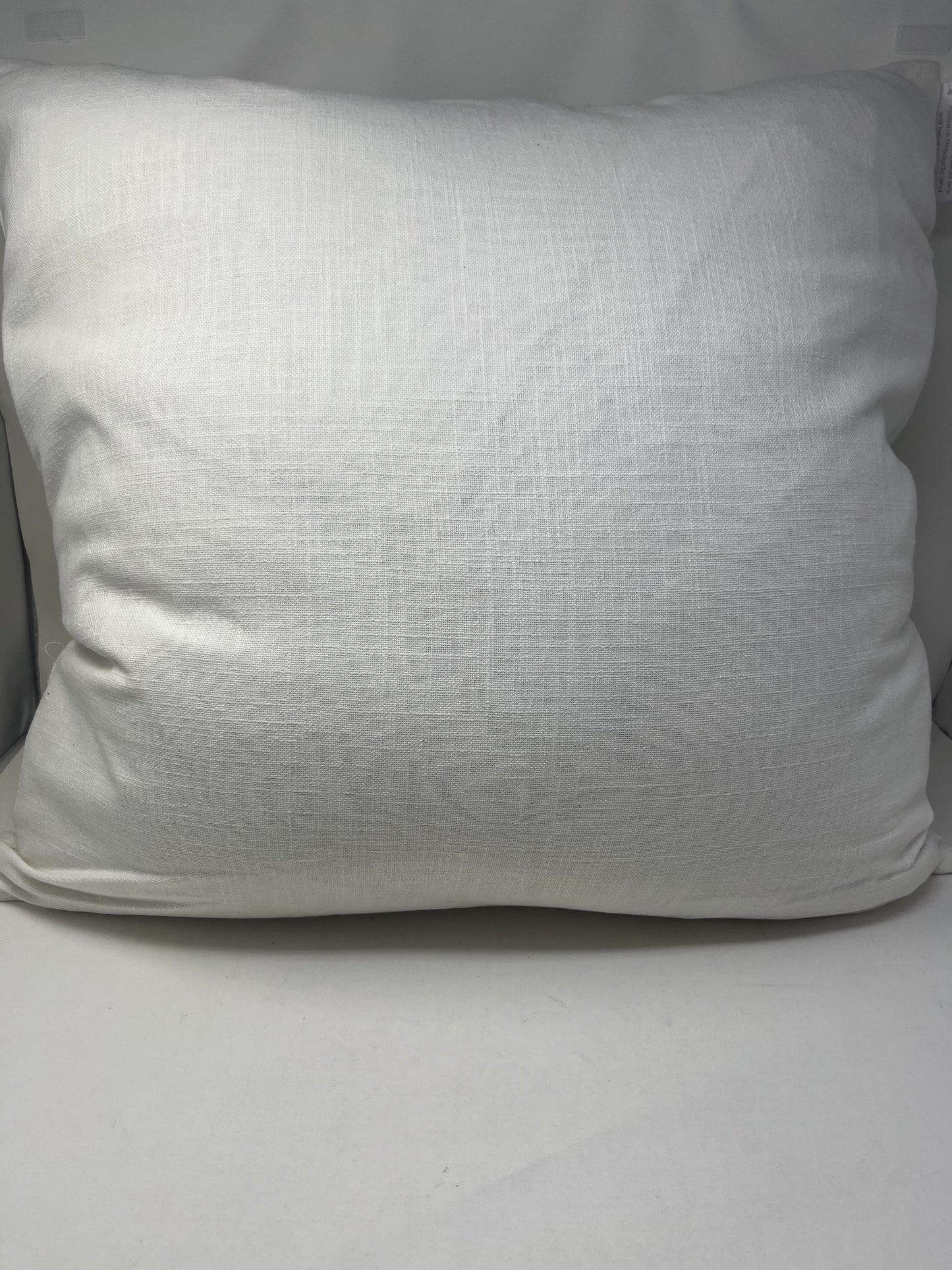 Steam Fog Blue/Ivory Pillow (set of two)