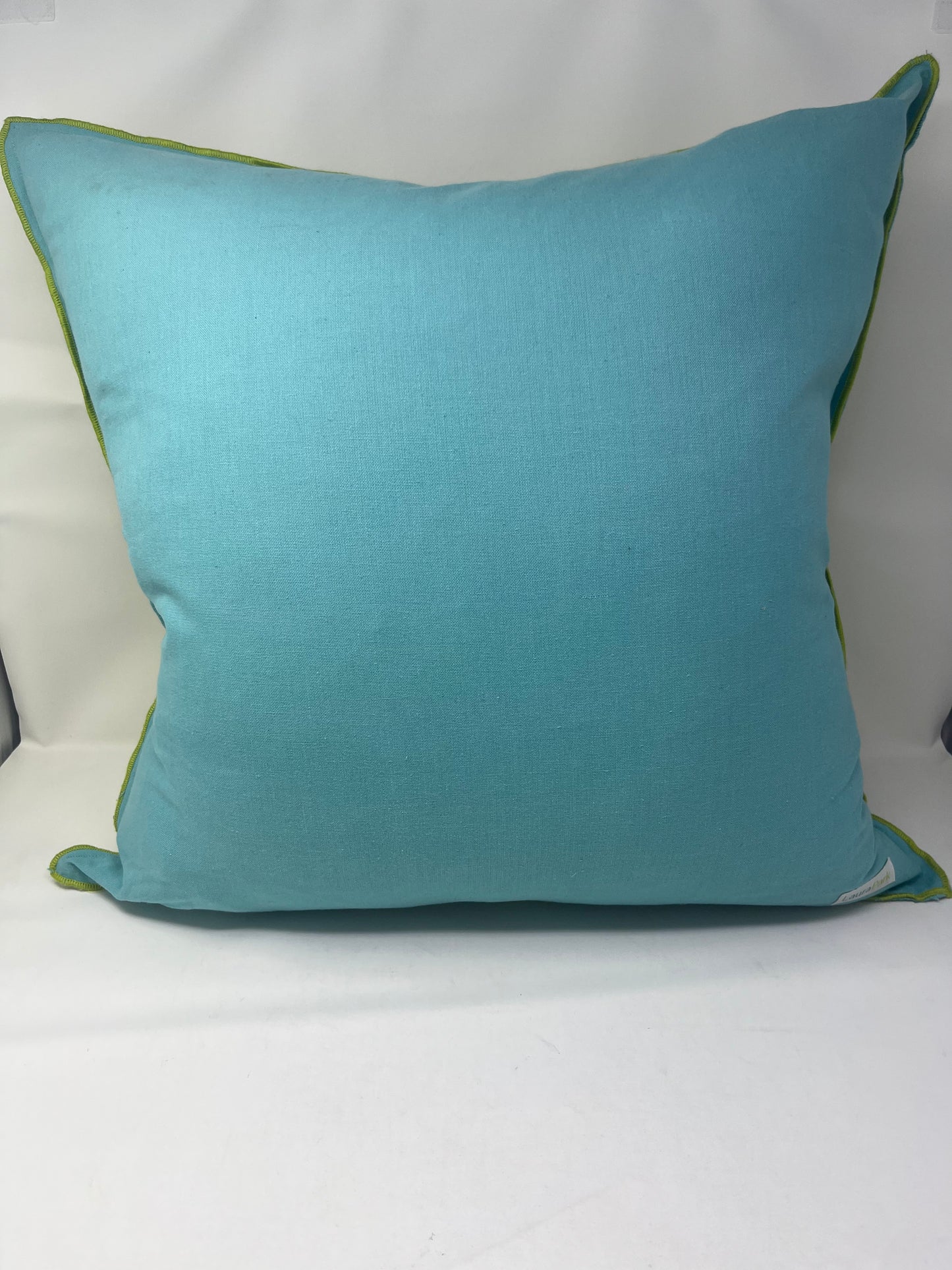 Reversible Aqua & Lime Pillow (Set of 2)
