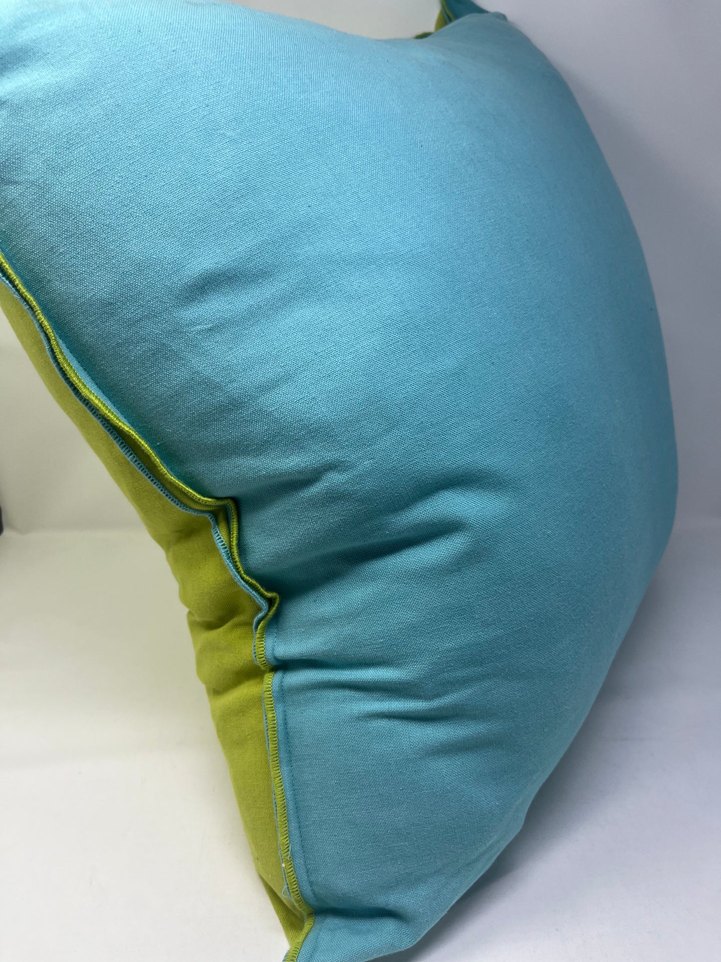 Reversible Aqua & Lime Pillow (Set of 2)