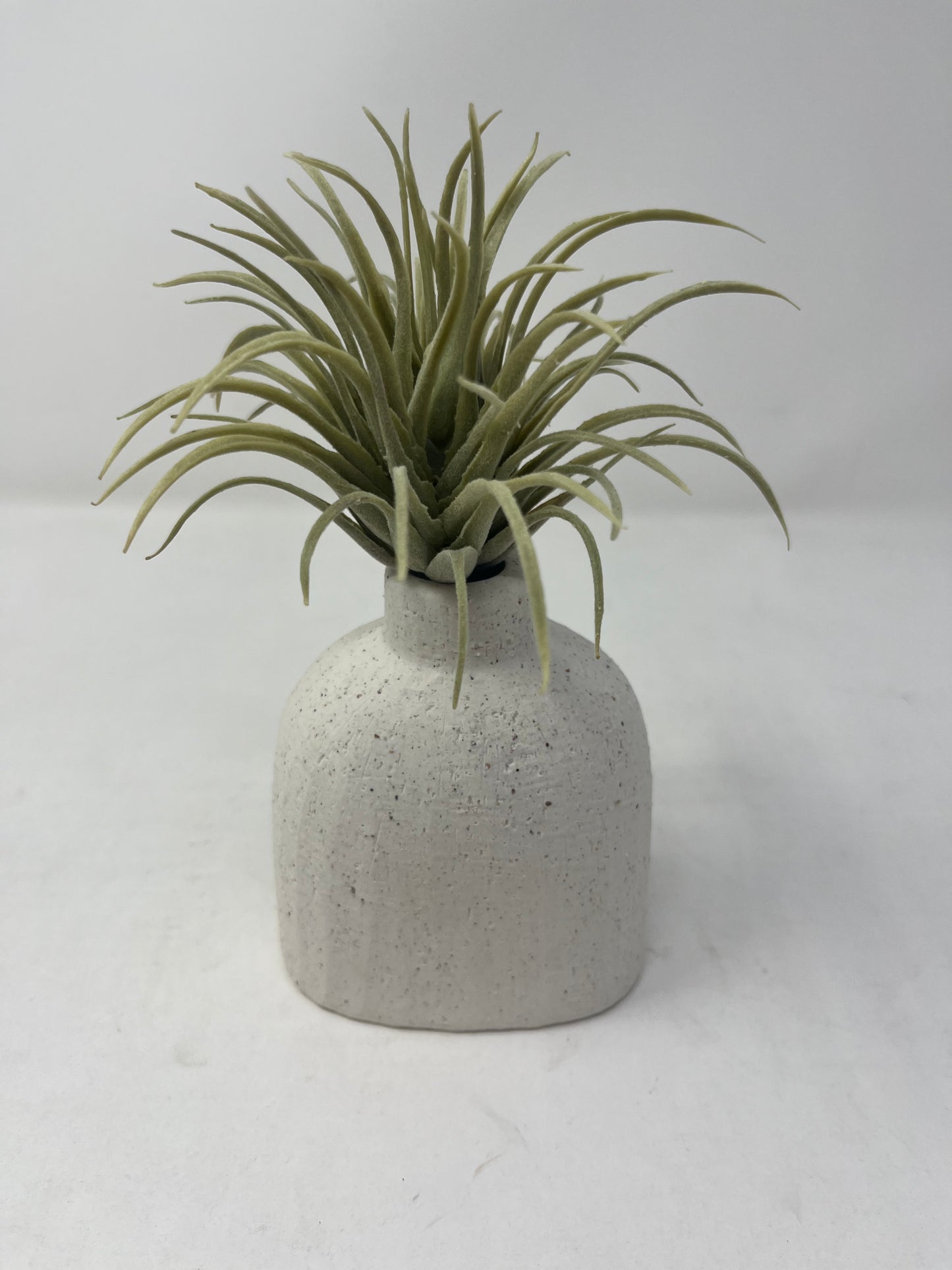 White Sands Sprout Vase (Small)