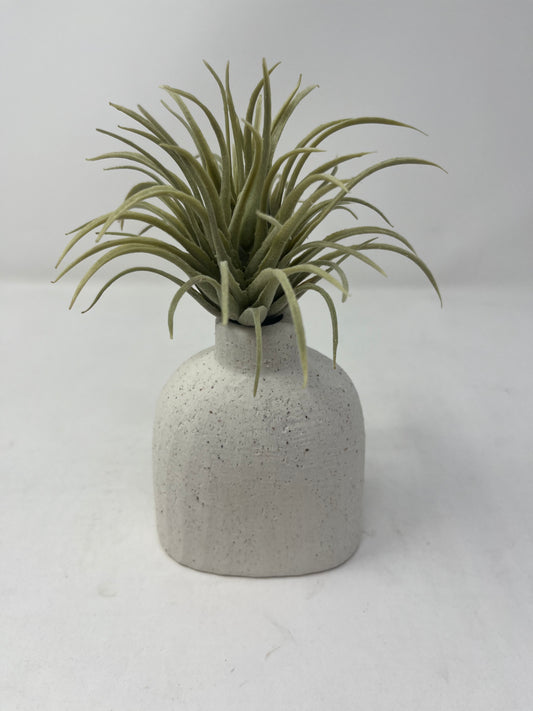 White Sands Sprout Vase (Small)