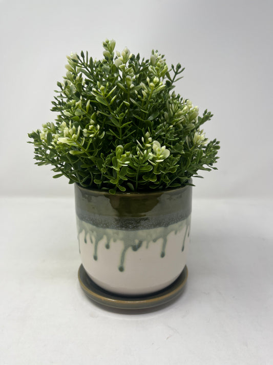 Evergreen Drip Ceramic Pot