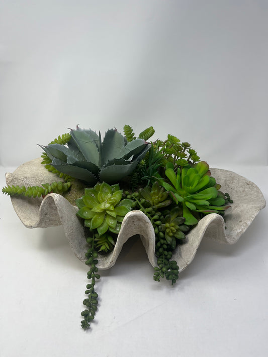 Seaside Succulent Garden