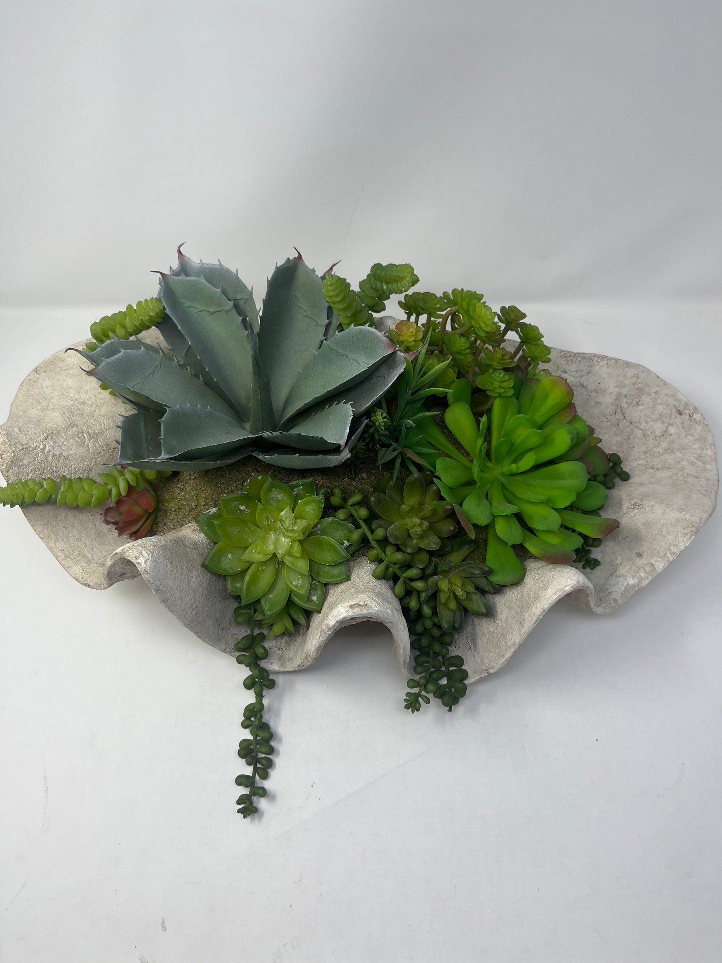 Seaside Succulent Garden