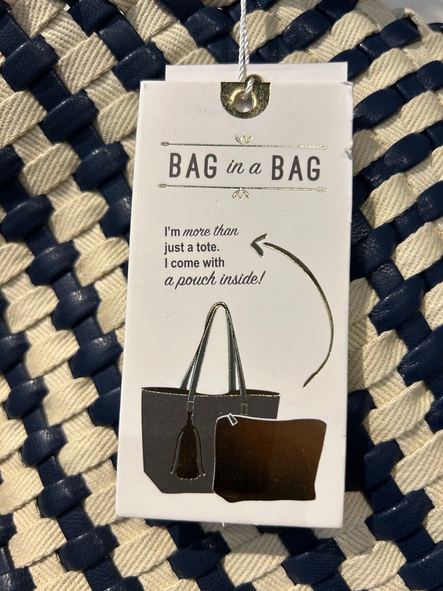 Bag in a Bag
