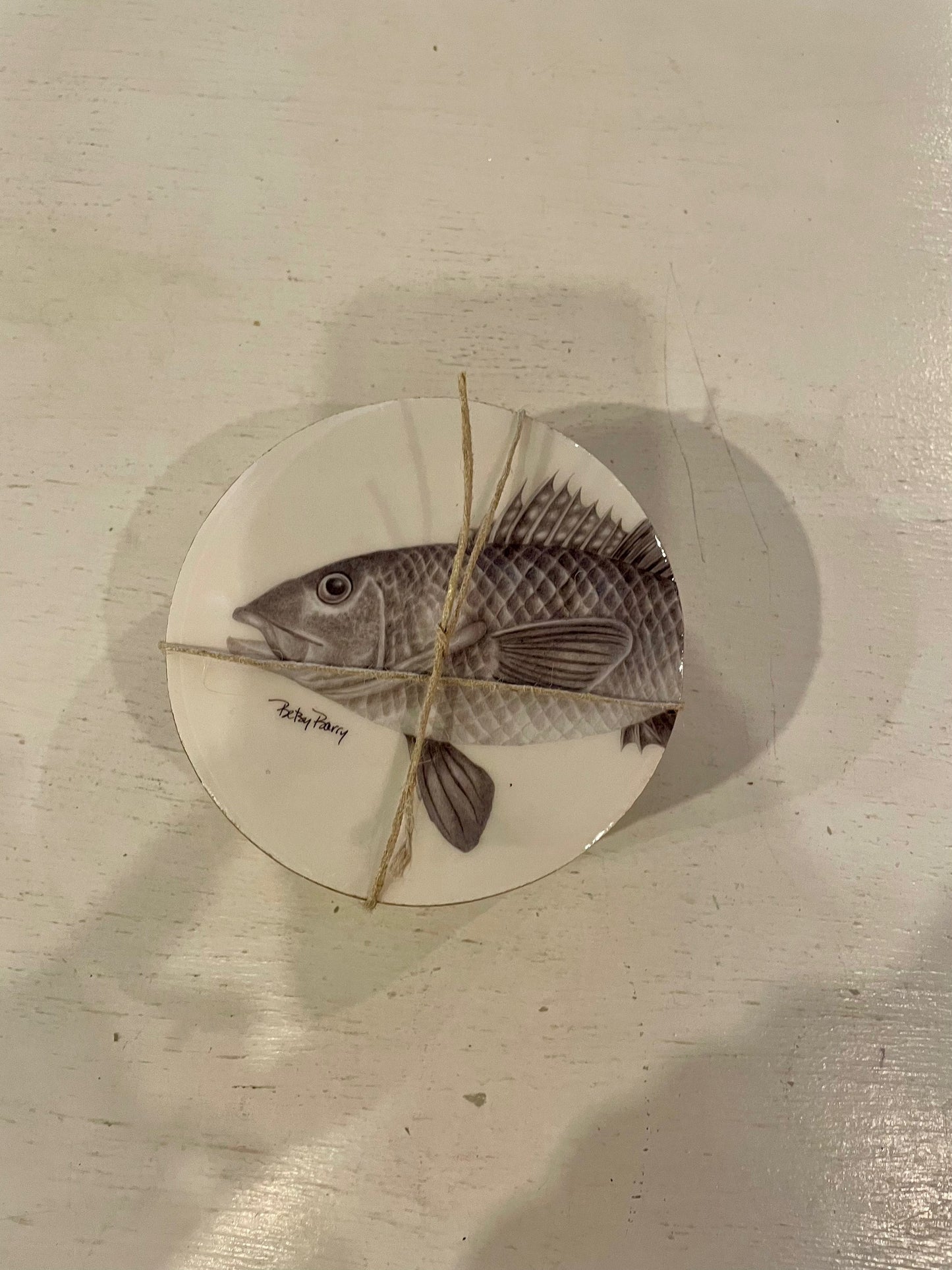 Fish Coasters (set of 4)