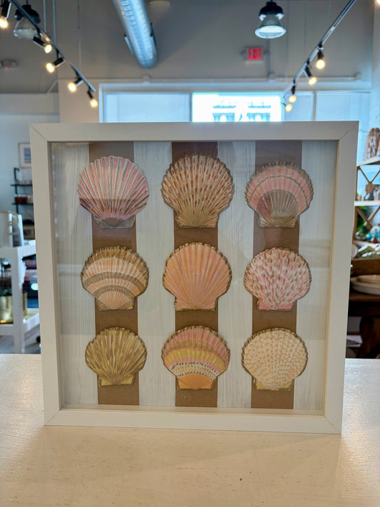 Nine Shells Artwork Framed
